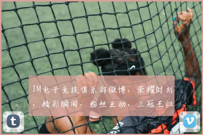 IM电子竞技俱乐部微博,荣耀时刻,精彩瞬间,粉丝互动,三冠王归来,共赴电竞盛宴